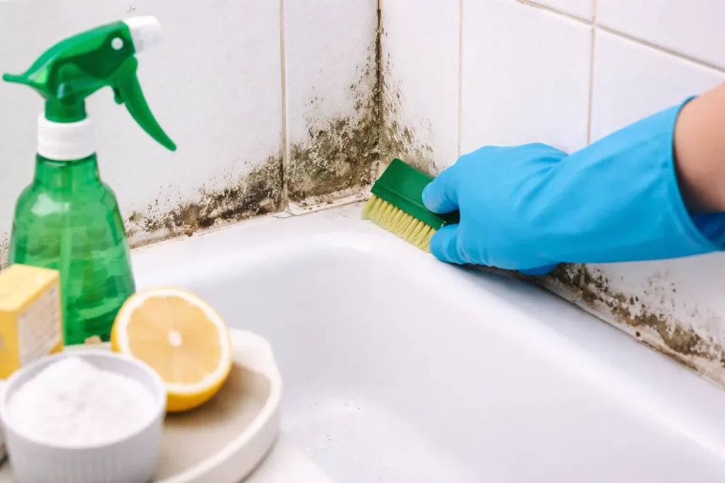 7 Razones Poderosas para Eliminar Moho Baño y Proteger tu Hogar en 2026