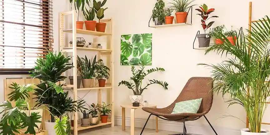 Las Mejores Plantas para Colocar junto a Ventanas en 2026